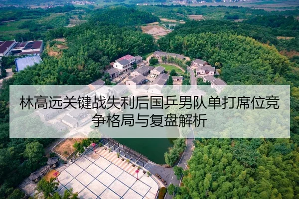 林高远关键战失利后国乒男队单打席位竞争格局与复盘解析